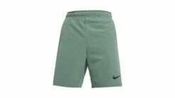 Nike Men's Flex 2.0 Shorts
