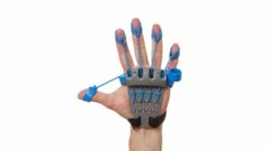 The Xtensor -Rogue Fitness Shop CX0001 web3 d4jula