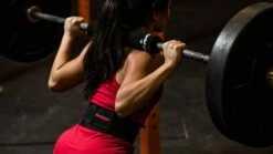 Harbinger NeoTek Olympic Bar Pad -Rogue Fitness Shop HG0024 web3 cbzodp