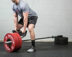 Rogue Parallel Landmine Handle 3 Rogue Parallel Landmine Handle -Rogue Fitness Shop PLANDMINE WEB3 faranj