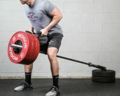 Rogue Parallel Landmine Handle 4 Rogue Parallel Landmine Handle -Rogue Fitness Shop PLANDMINE WEB4 xoicze