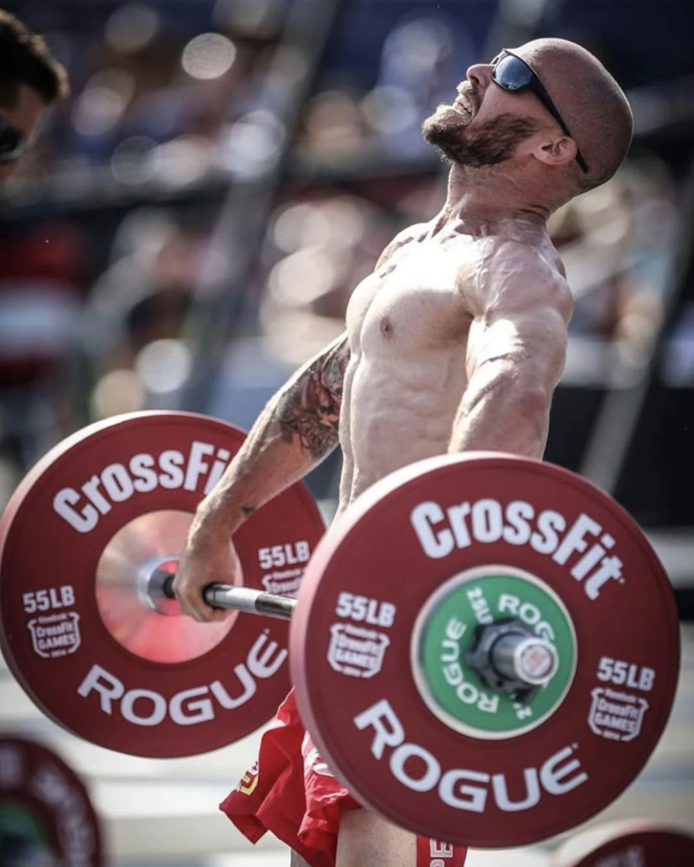 Rogue SPEAL Pull-up Bar 2.0 Rogue SPEAL Pull-up Bar 2.0 -Rogue Fitness Shop RA0772 WEB3 gjcdrj