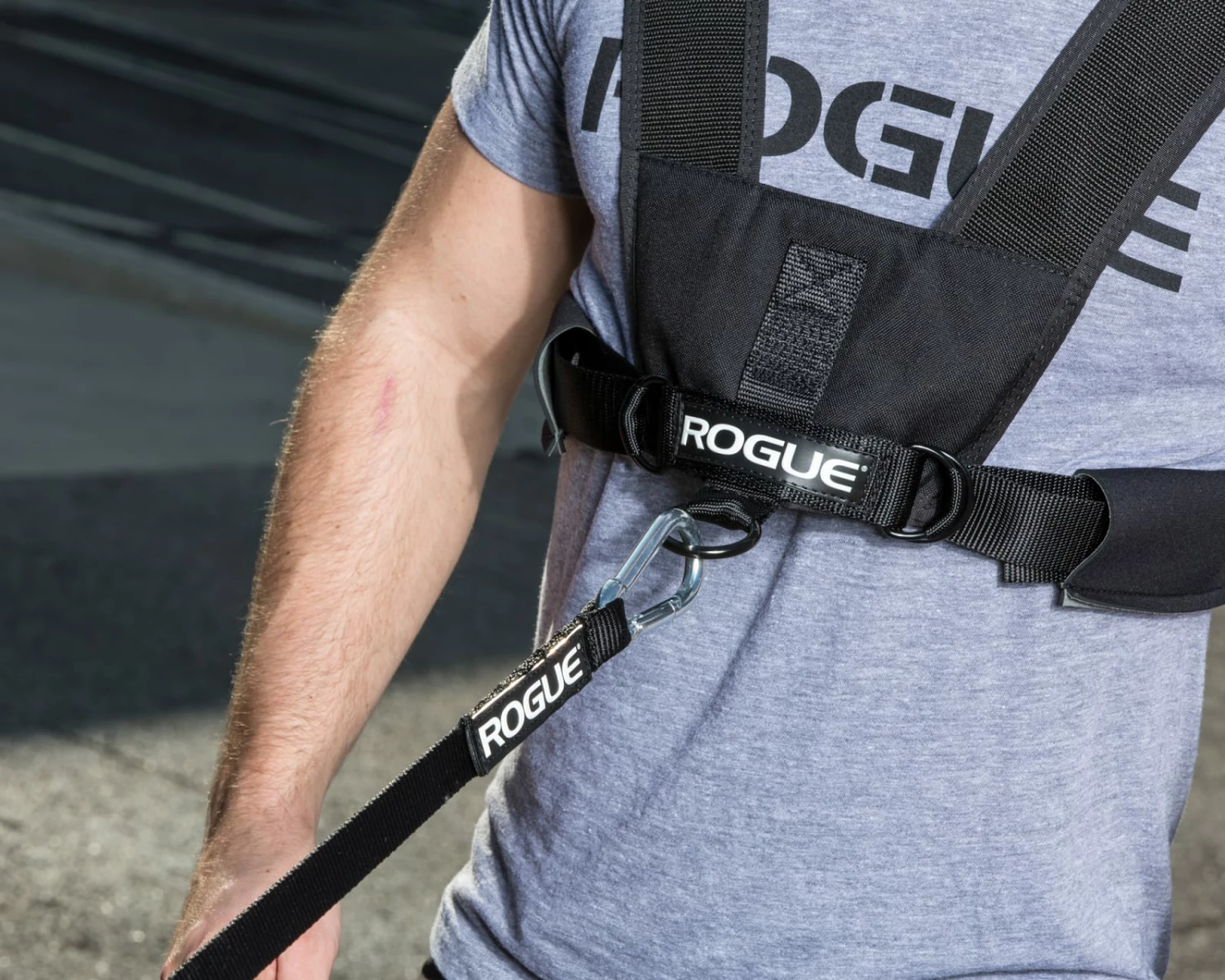 Rogue Sled Harness Rogue Sled Harness -Rogue Fitness Shop ROGUEHARNESS