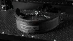 Rogue Multi Belt