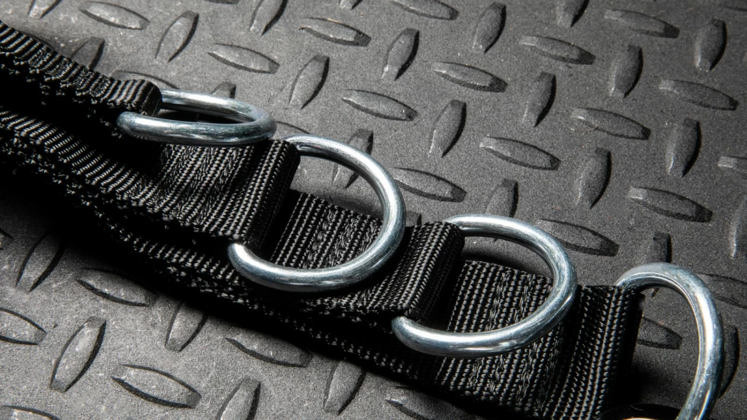 Rogue Multi Belt Rogue Multi Belt -Rogue Fitness Shop RS1010 WEB5 zt1z5e