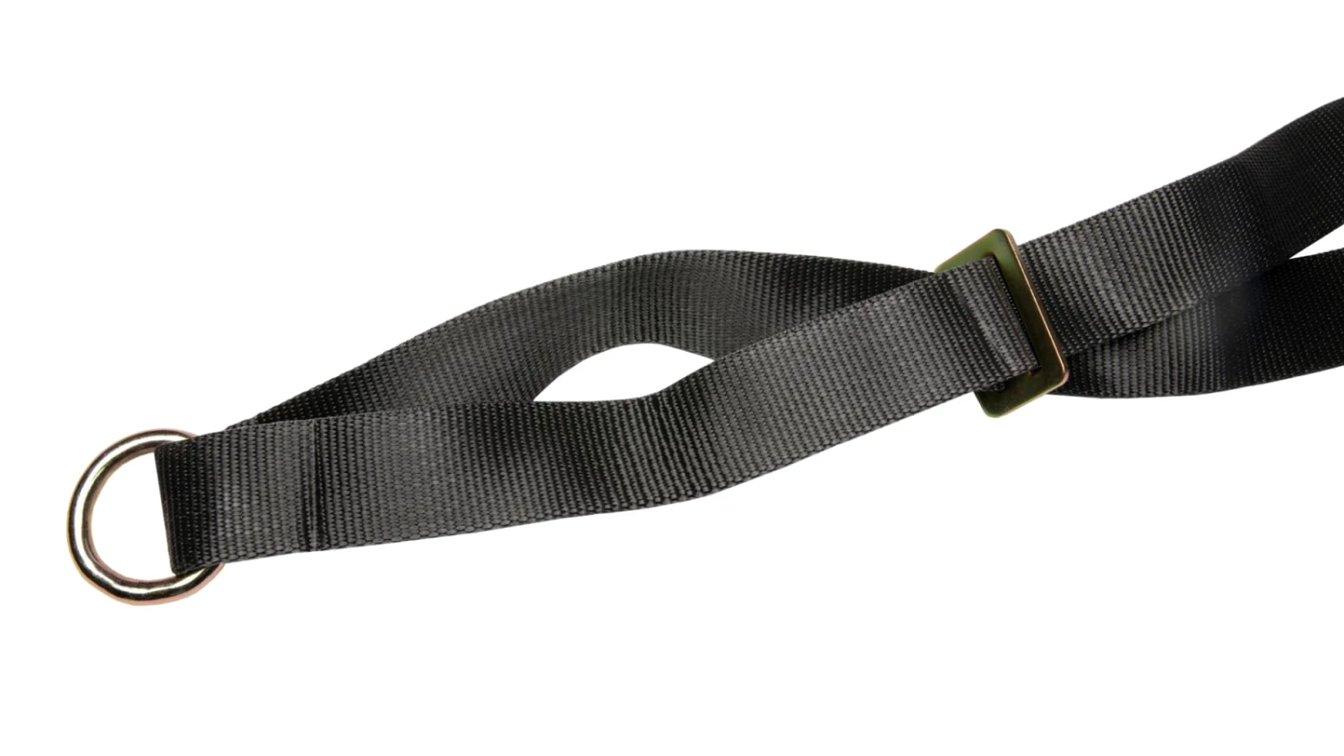 Charger Harness Charger Harness -Rogue Fitness Shop SP0073CH WEB4 rui1nd