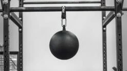 Rogue 12" Pull-up Globe