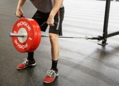 Rogue Landmine Handles -Rogue Fitness Shop XX3127 WEB2 cshcuj