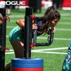 Lauren Fisher Lion Women's Crop Tank -Rogue Fitness Shop lauren fisher team event 1 1 ngvpp0